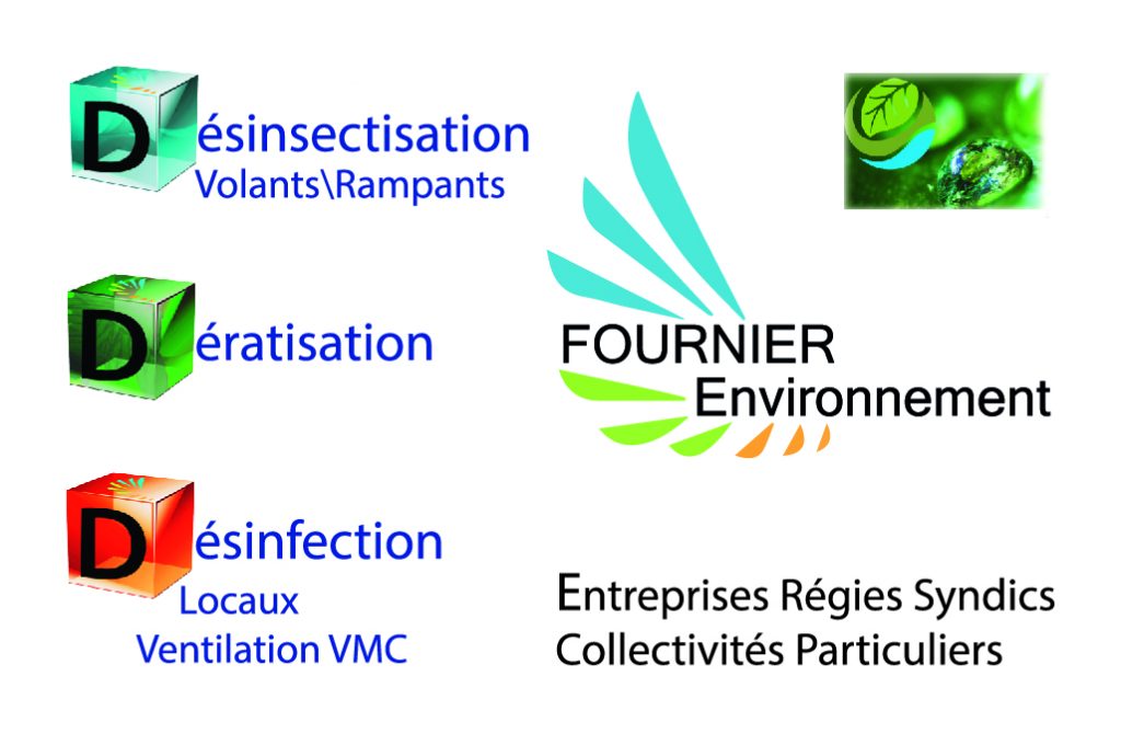 cartedevisitefournierenvironnementverso